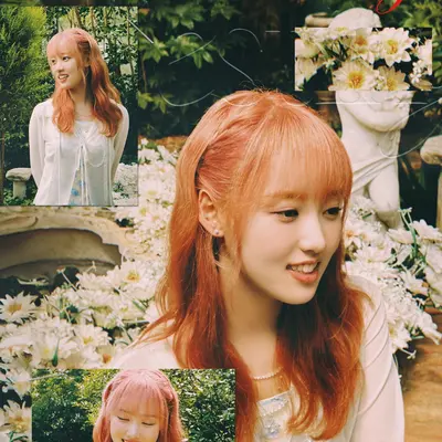 Sei